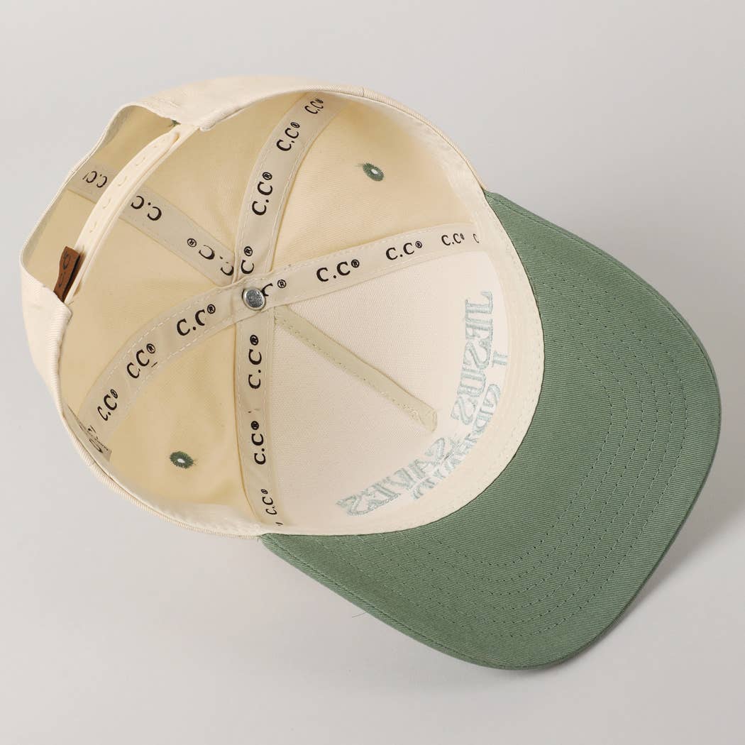 Sage JESUS SAVES I SPEND Hat