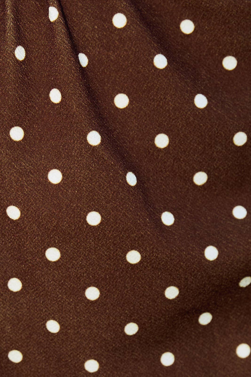 Brown Ivory Dot Midi Skirt