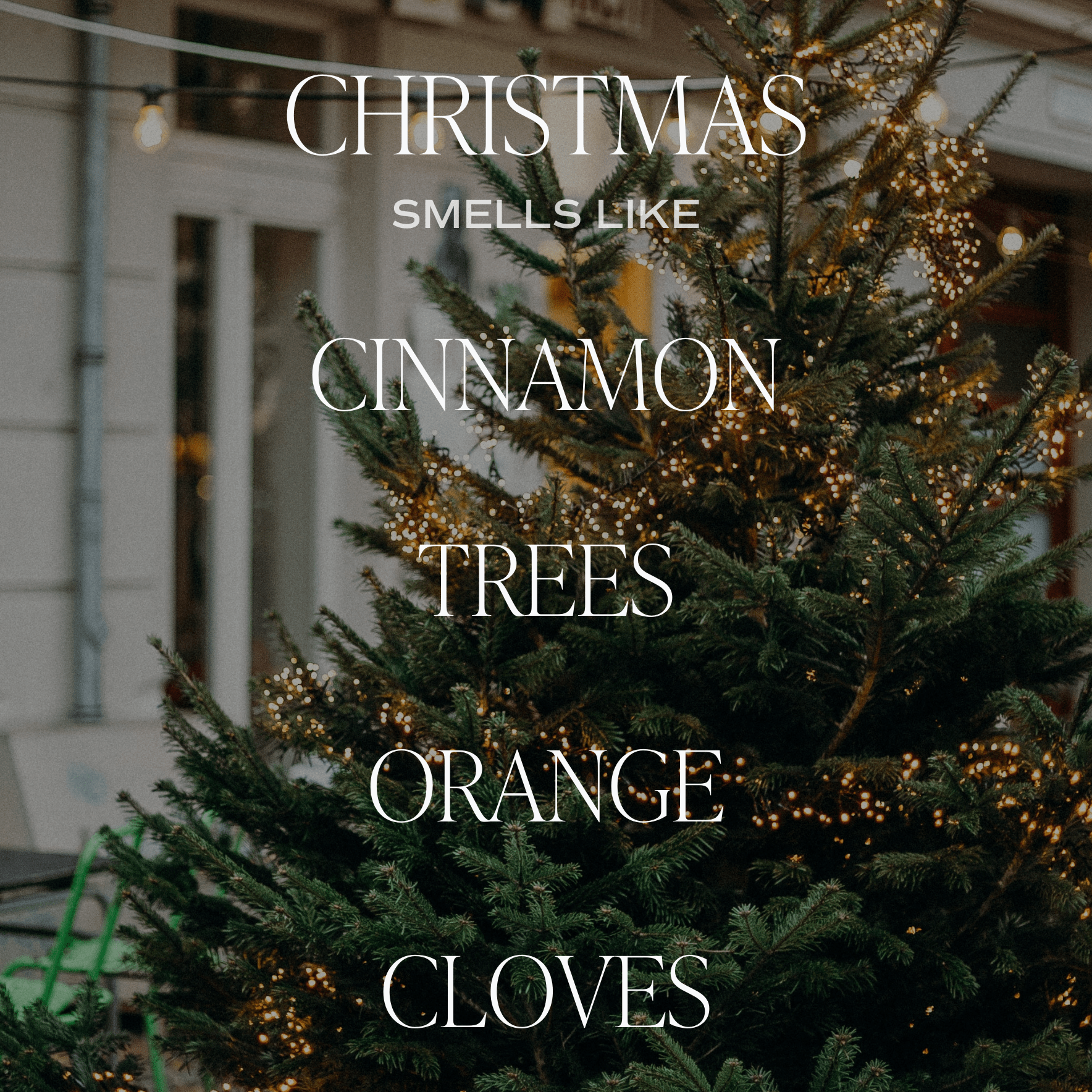 Christmas Reed Diffuser