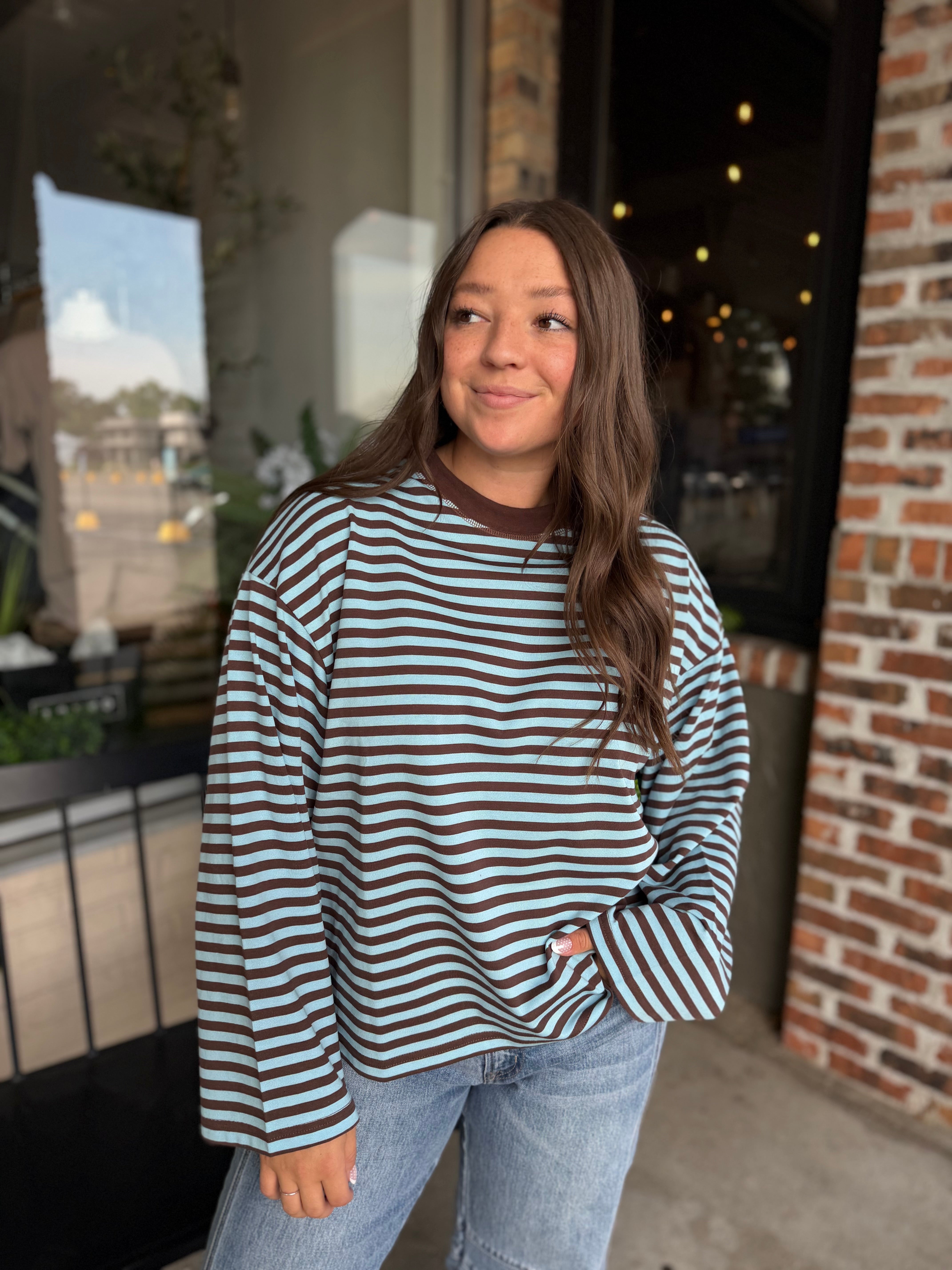 Brown Stripe Long Sleeve Top
