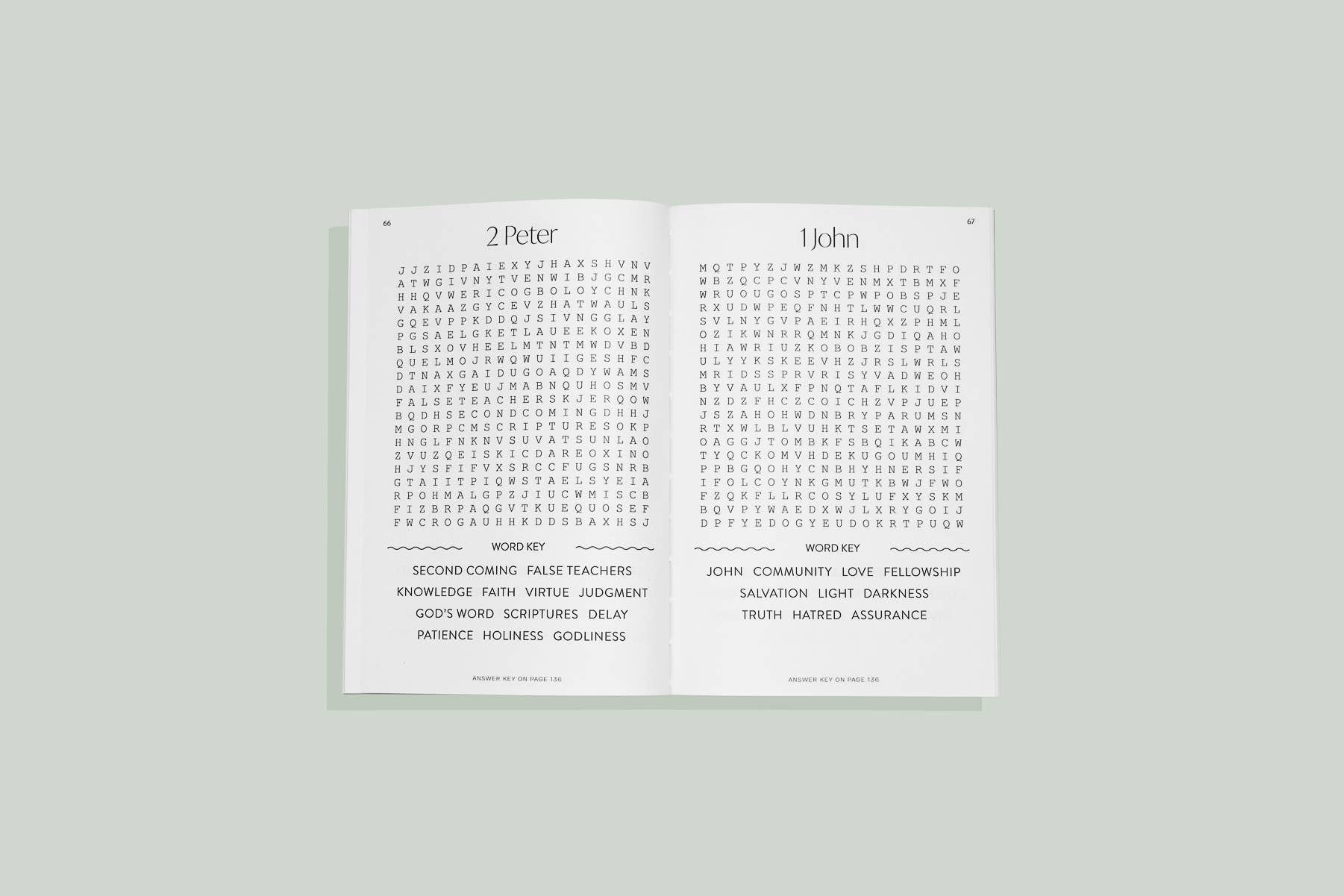 Bible Word Search