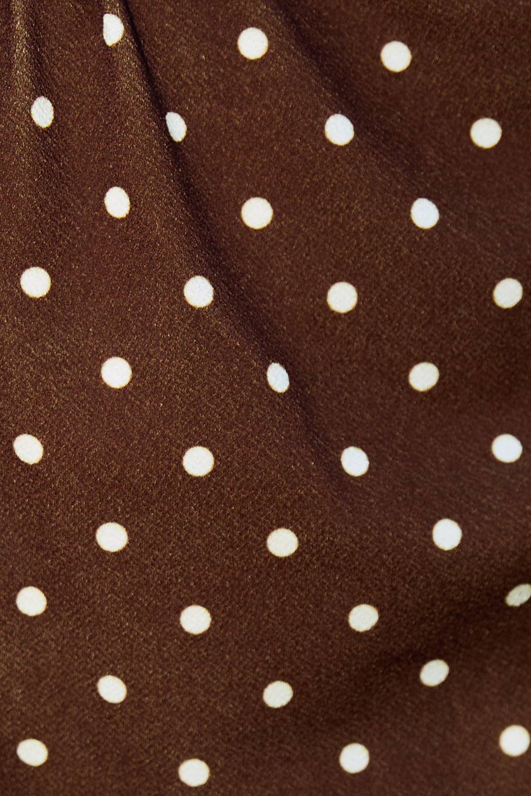 Brown Ivory Dot Ruched Shoulder Top