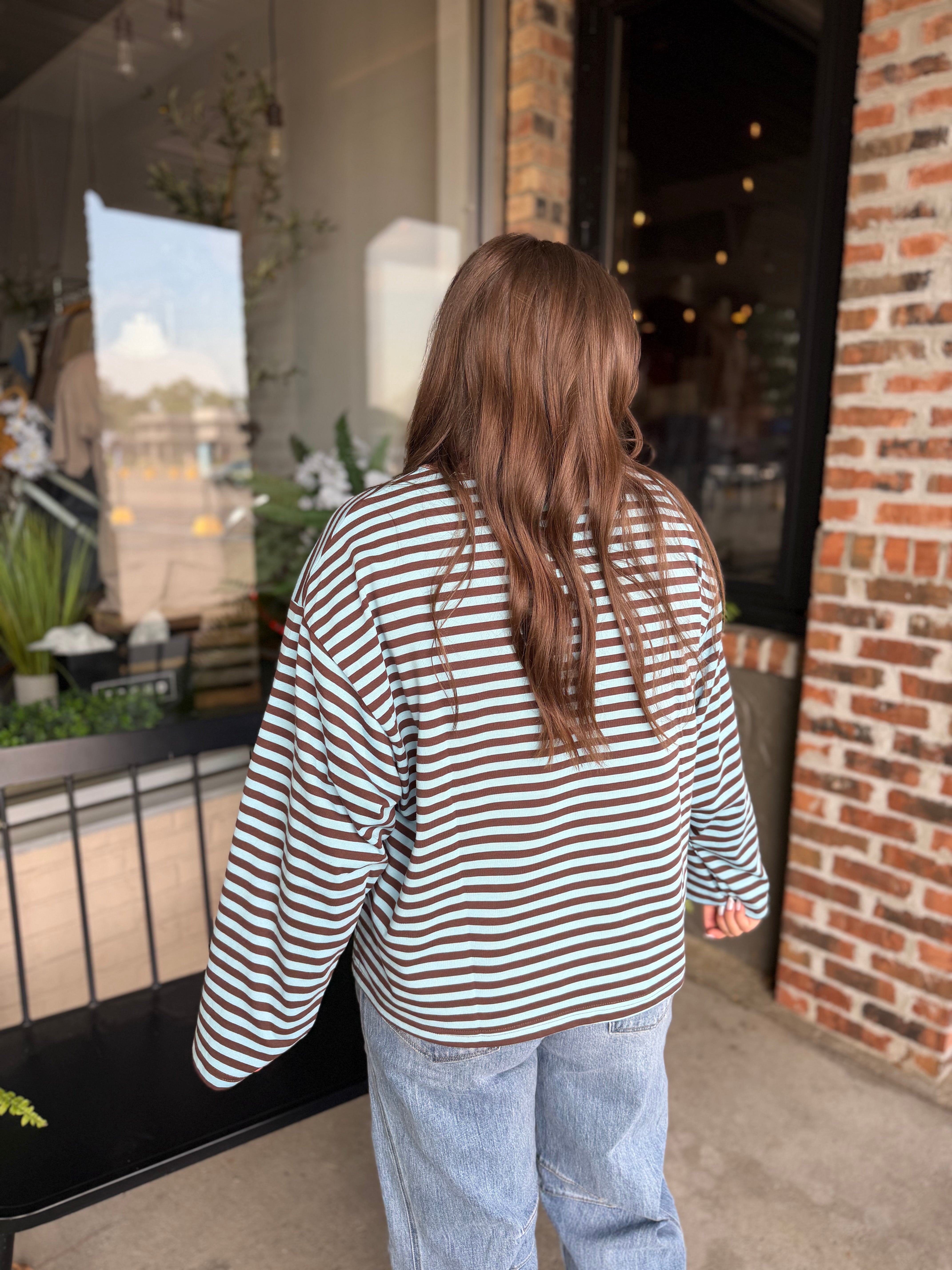 Brown Stripe Long Sleeve Top