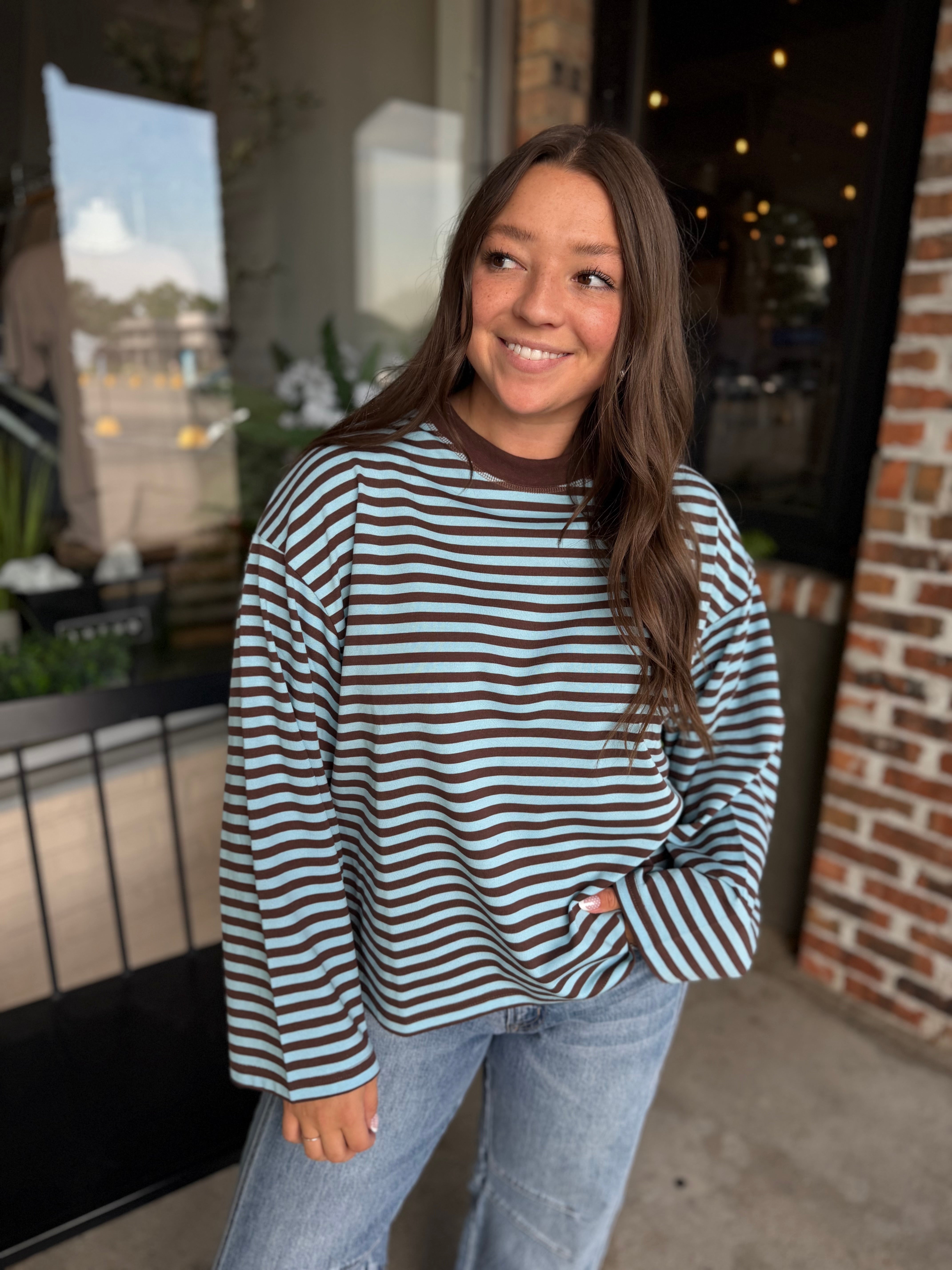 Brown Stripe Long Sleeve Top