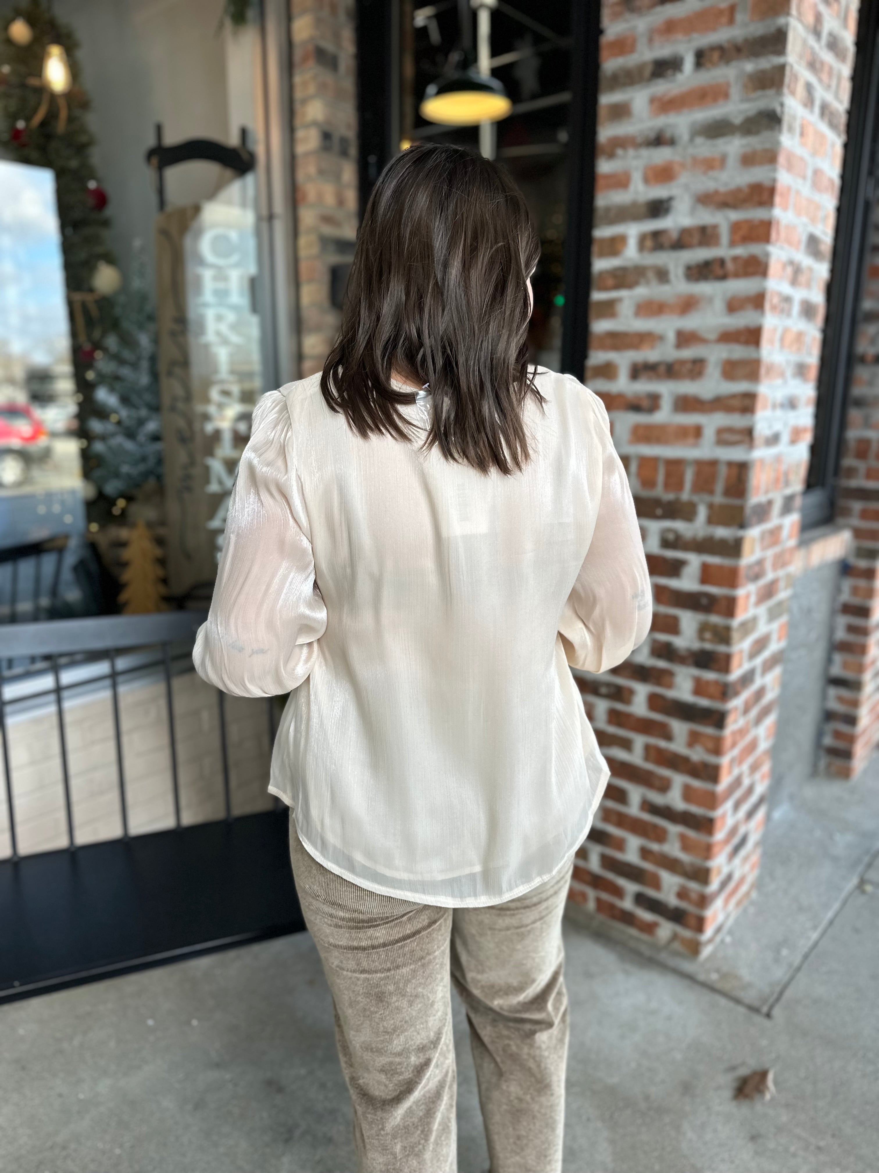 Champagne Sheer V Neck Blouse