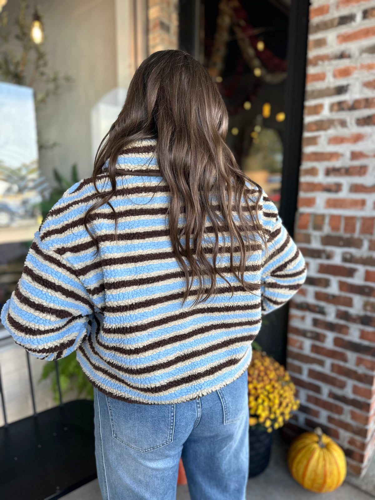 Blue and Brown Stripe Fleece Pullover